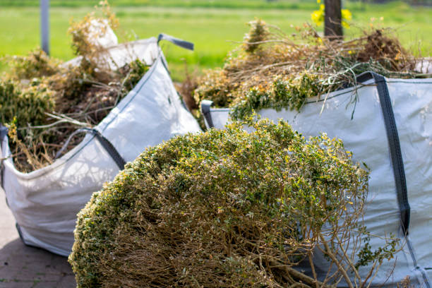 Best Appliance Removal Near Me  in Rancho Santa Margarita, CA
